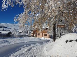 Les Saisies coté Légette appartement dans chalet LE NEPAL