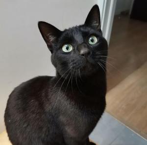 Grande chambre avec cuisine privée