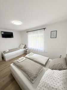 Varázsvilág Vendégház