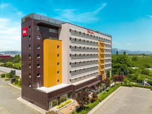 Ibis Bursa