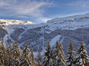 Appartement spacieux avec balcon, animaux admis, centre station et parking en option - FR-1-425-125