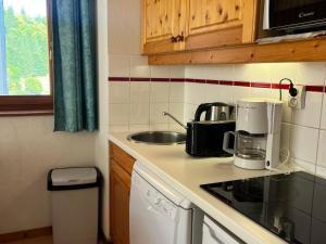 Appartement lumineux au pied des pistes avec accès direct Grand Massif - FR-1-624-100