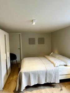 Beautiful small apartment in the center of Reykjavík