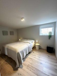 Beautiful small apartment in the center of Reykjavík