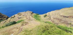 Oak Tree House- Ponta do Pargo