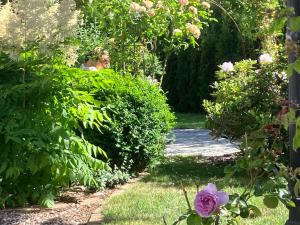 B&B Österlens RosenTrädgård