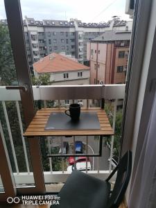 City pioneer Apartmens