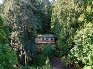 Ocean Vista In the Woods on Saltspring Island