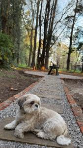 Hermosa Cabaña Alpina Zona Oeste