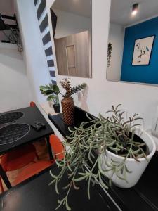 SPIN City by Katowice V