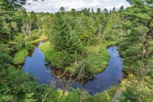 Whispering Pines & Shouting Rocks