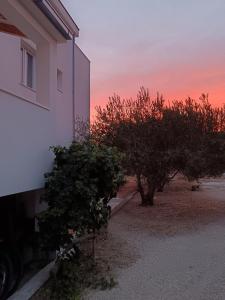 Trogir apartment disability-friendly with free parking