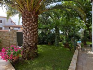 Holiday apartment in Pula with swimming pool