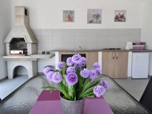 Villa in Pula with swimming pool