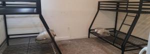 731HolydayPalmBeachHouseFrm99FourPrsMin2to3PrsPartyEachRoom