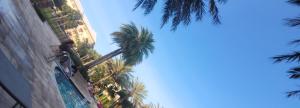 731HolydayPalmBeachHouseFrm99FourPrsMin2to3PrsPartyEachRoom