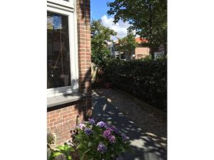 Apartment in Zandvoort with swimming pool