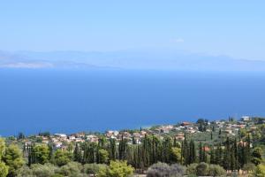Farma Koudoura