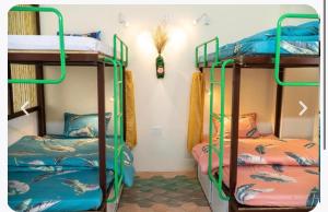 Paos Leisure Homestay