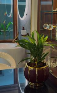 2 bhk luxury heritage villa 500m away from lulumall trivandrum and 5km away from padmanabha swamy temple