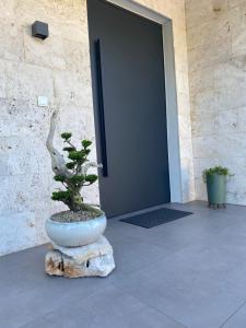 Villa BB Rapsody 10 with heated salt water pool