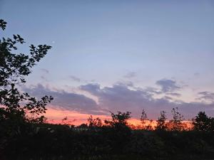 Welcome To The Multihouse In The Countryside