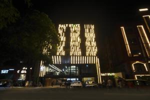 Saltstayz Premier - Naraina, Central Delhi