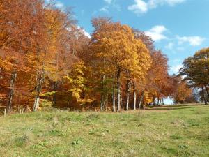 B&B / Chambres d'hotes Le relais des deux tours : photos des chambres