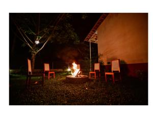 Musafir Jungle Resort