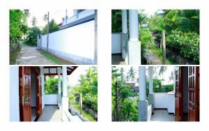 Royal Nest - Bentota