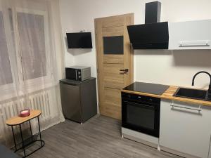 Apartman Riegrova 41
