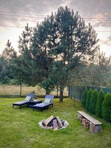 Domek wakacyjny "Sosnowy Zakątek"