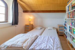 Ludogite au coeur des Hautes-Fagnes