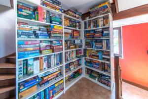 Ludogite au coeur des Hautes-Fagnes