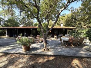 Villa lumineuse avec grand jardin, au calme, proche plages et commerces au cœur de Petit-Piquey - FR-1-736-30