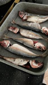 Village house in Polican