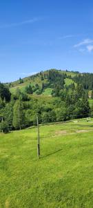 Saduba Pushkarivchyk