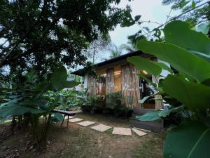 Coffee Breeze Resort