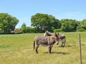 Suffolk Punch Cottage