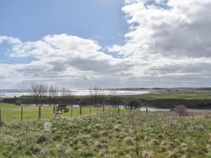 Och Moo At Number 47