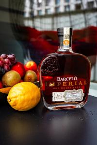 Bohemian Skyline Residence