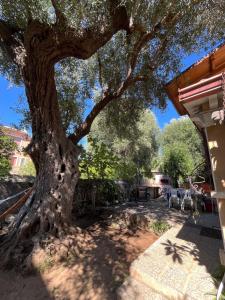 VILLINO TROCCOLI, appartamento Morena