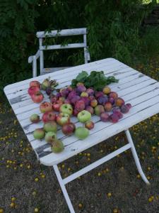 Elsasgården - Rum för lugn