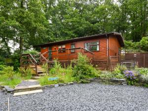 The Squirrels Drey C32 - Uk45927