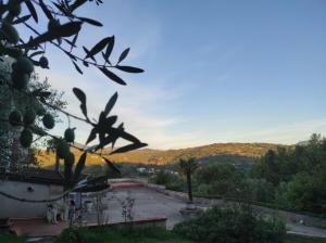 Casa vacanze in famiglia relax e natura
