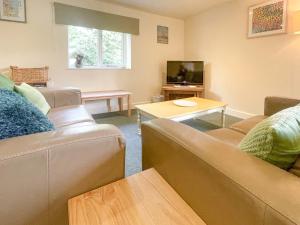 Lily Pad 9 - Uk43919