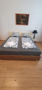 Lovely 1BR Apt in the Heart of Vienna