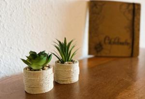 Ferienwohnung Aigisblick mit Pool und Sauna, direkt am Skihang