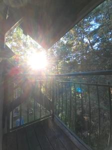 Apartmani Milutinovic