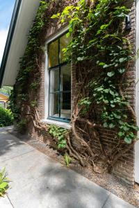 B&B Cosy Woods - stijlvolle suites aan het bos!